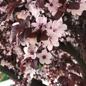 Meet your Posher, Stacey